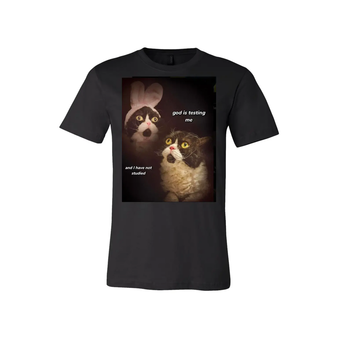 Unisex Fitted Soft Style T-Shirt – Create Your Own Custom