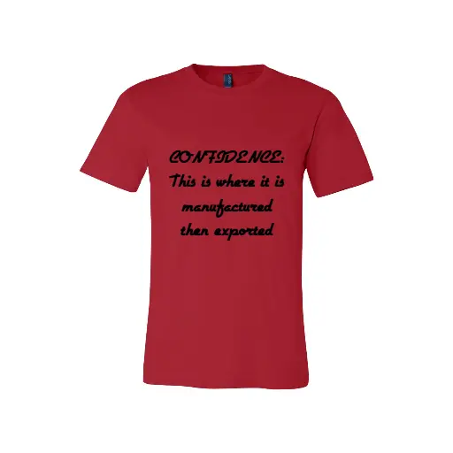 Unisex Fitted Soft Style T-Shirt – Design Your Own Custom